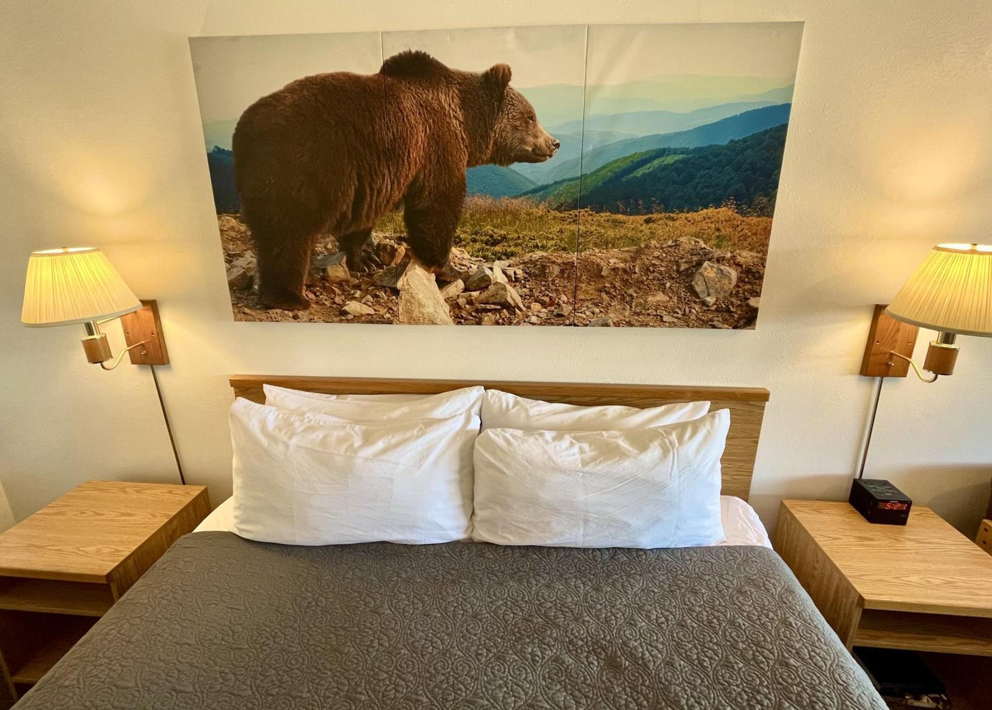 Red Bear Inn Эннис Экстерьер фото